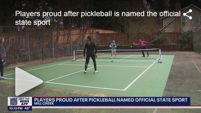 Pickleball players